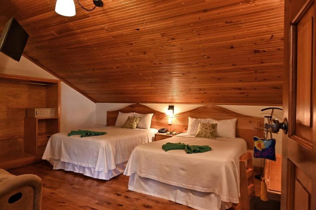 Hotel Provincia ซานกริสโตบัล เด ลาสกาซาส ภายนอก รูปภาพ